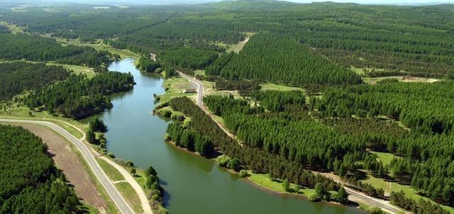 教教你家娃|农民砍自家树买，为啥要被罚款上万元？自己种的树也不能砍了？