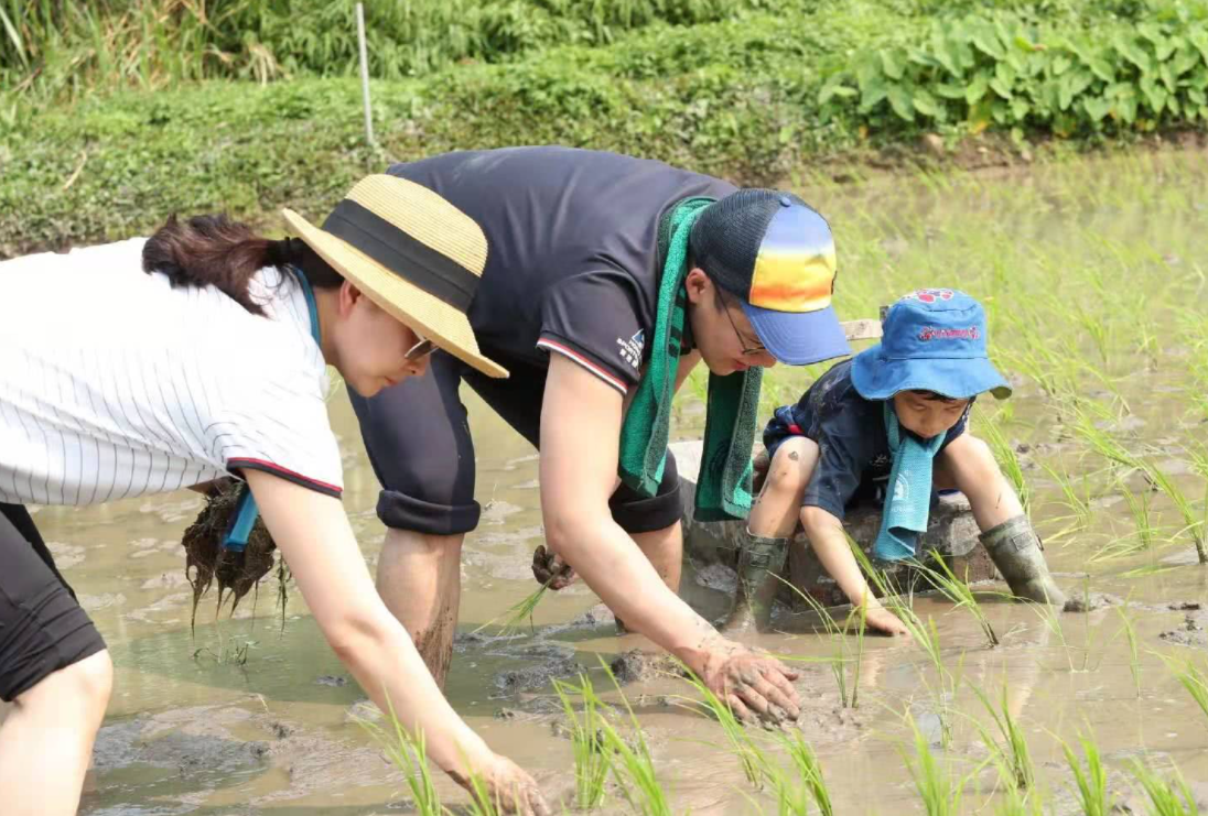 郭晶晶|郭晶晶获赠1.6亿豪宅，屋顶晒衣成亮点，网友：难怪融不进贵妇圈