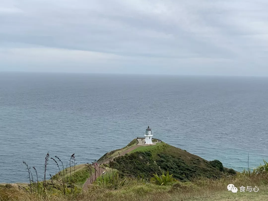 食与心|生活在童话般美丽的国度,新西兰人比中国人更健康吗?