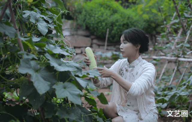 李子柒 网曝李子柒报警原因，资本大佬要求其割粉丝韭菜，拒绝后被暗中下套