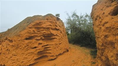 奶球妈咪聊|三角城遗址：中国沙井文化最具代表性的文化遗存