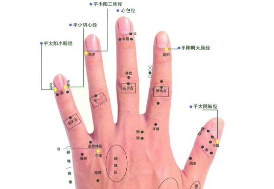 甲狀腺結節|大蒜有益散結？醫生忠告：常忌“3果2菜”，甲狀腺結節不敢造次