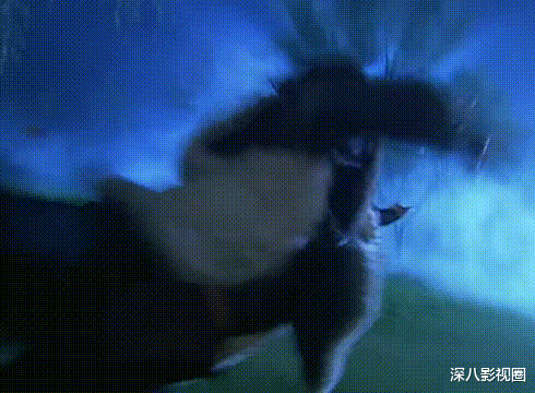 武侠剧|颜值不行打戏拉胯，果真是期望越高失望越大