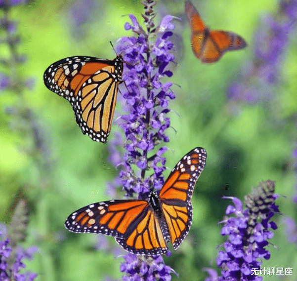 无计聊星座|十月，4个星座，深受信任，潜力巨大，前途明朗，潜力无限