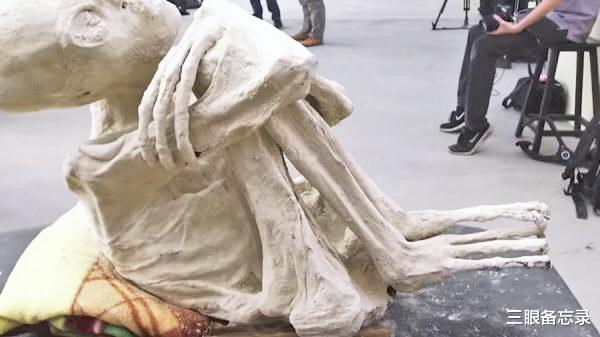 木乃伊 秘鲁纳斯卡线附近出土的三指木乃伊，类人DNA谱系揭露了什么？