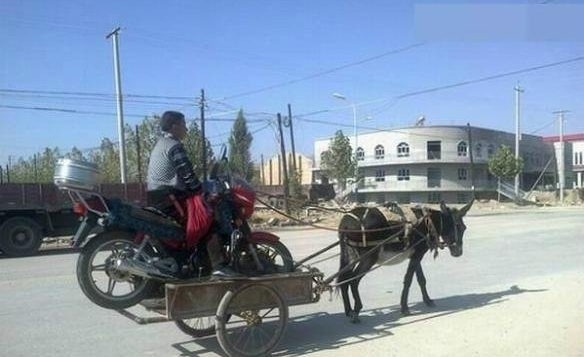 五菱|中国最好的女子双人跳水搭档是谁？网友：当然是婆婆和媳妇了、她们经常同时掉进水里