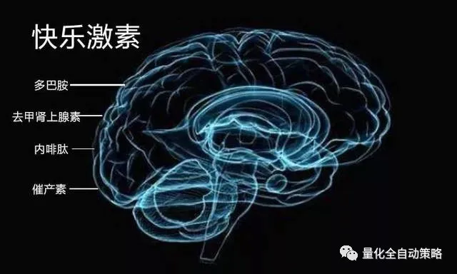 交易 你知道为什么交易员对短线交易会上瘾吗?