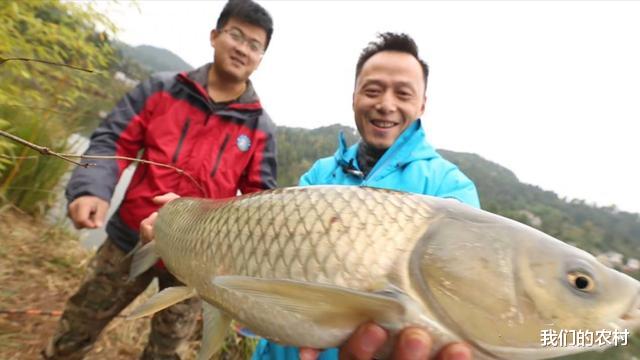 |防止小鱼闹窝有奇招，4种完美解决小鱼闹窝的方法，果断收藏