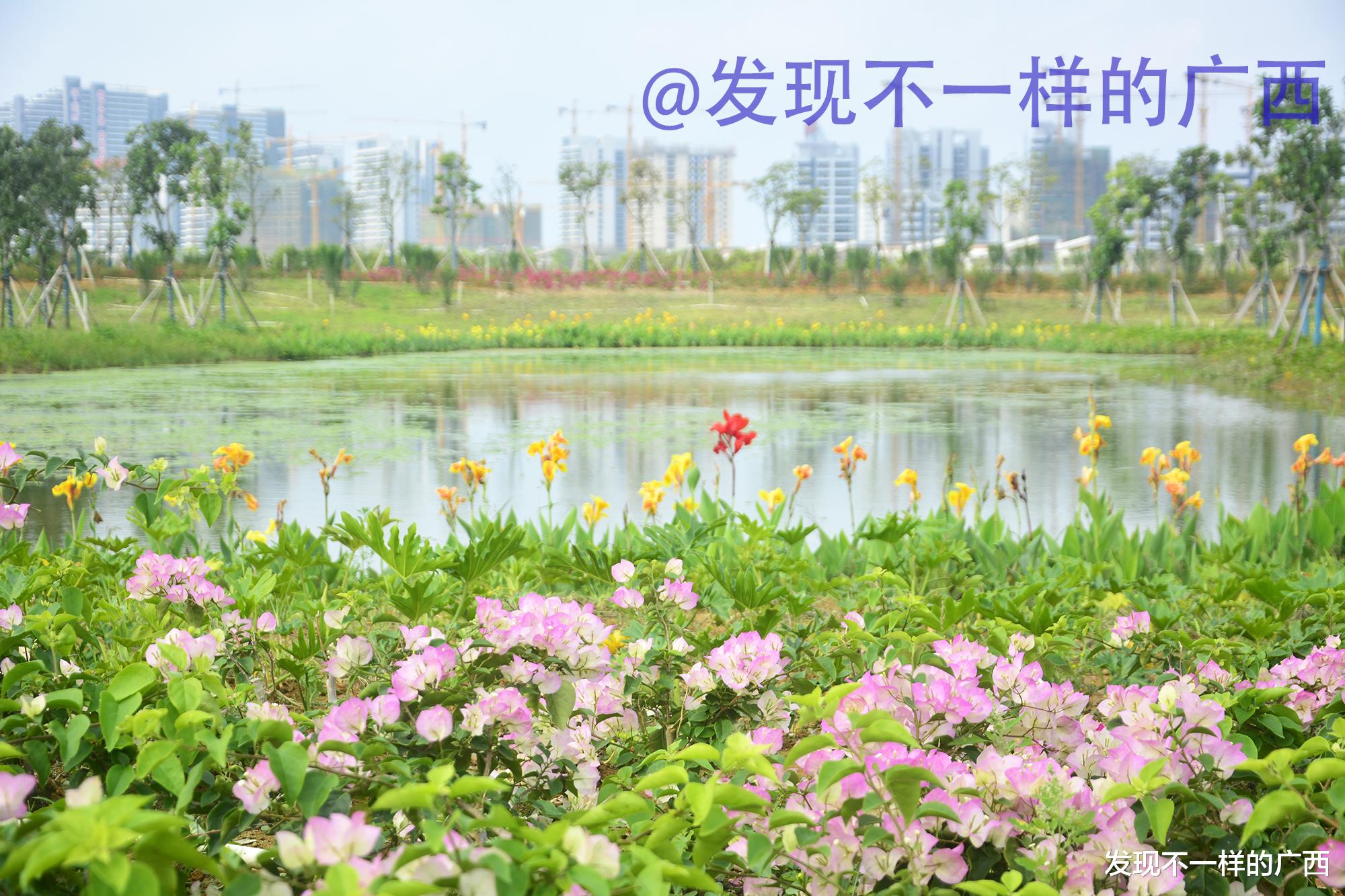 发现不一样的广西 在北海，第一次看到这么美的一个公园！