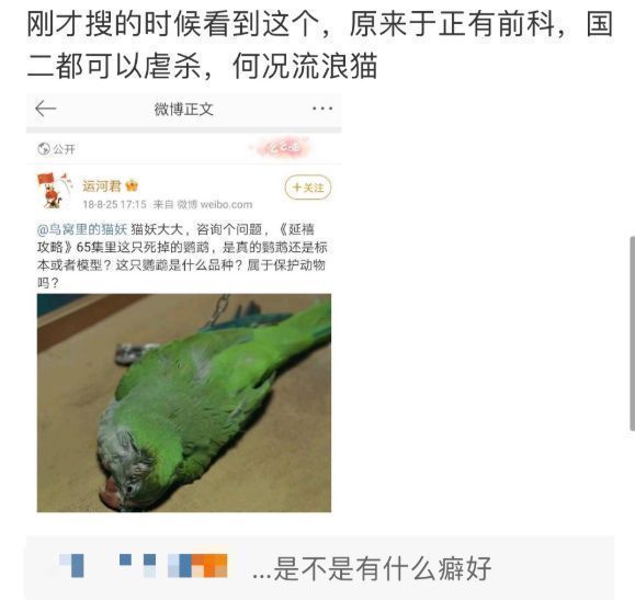 蔡徐坤|《当家主母》毒死猫惹争议？网友质疑假戏真做，于正评论区被沦陷