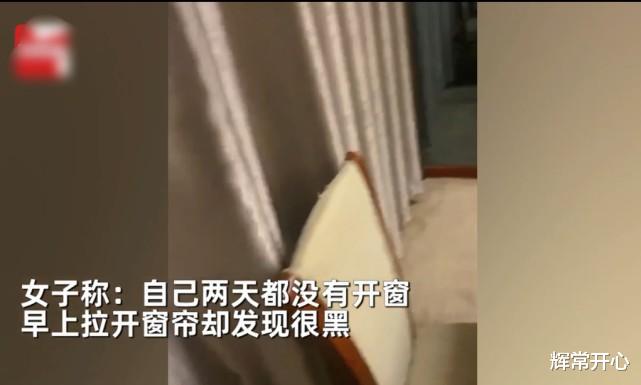 湖北一女子住酒店2天未开窗,退房时发现窗户秘密,网友:隔墙有耳!