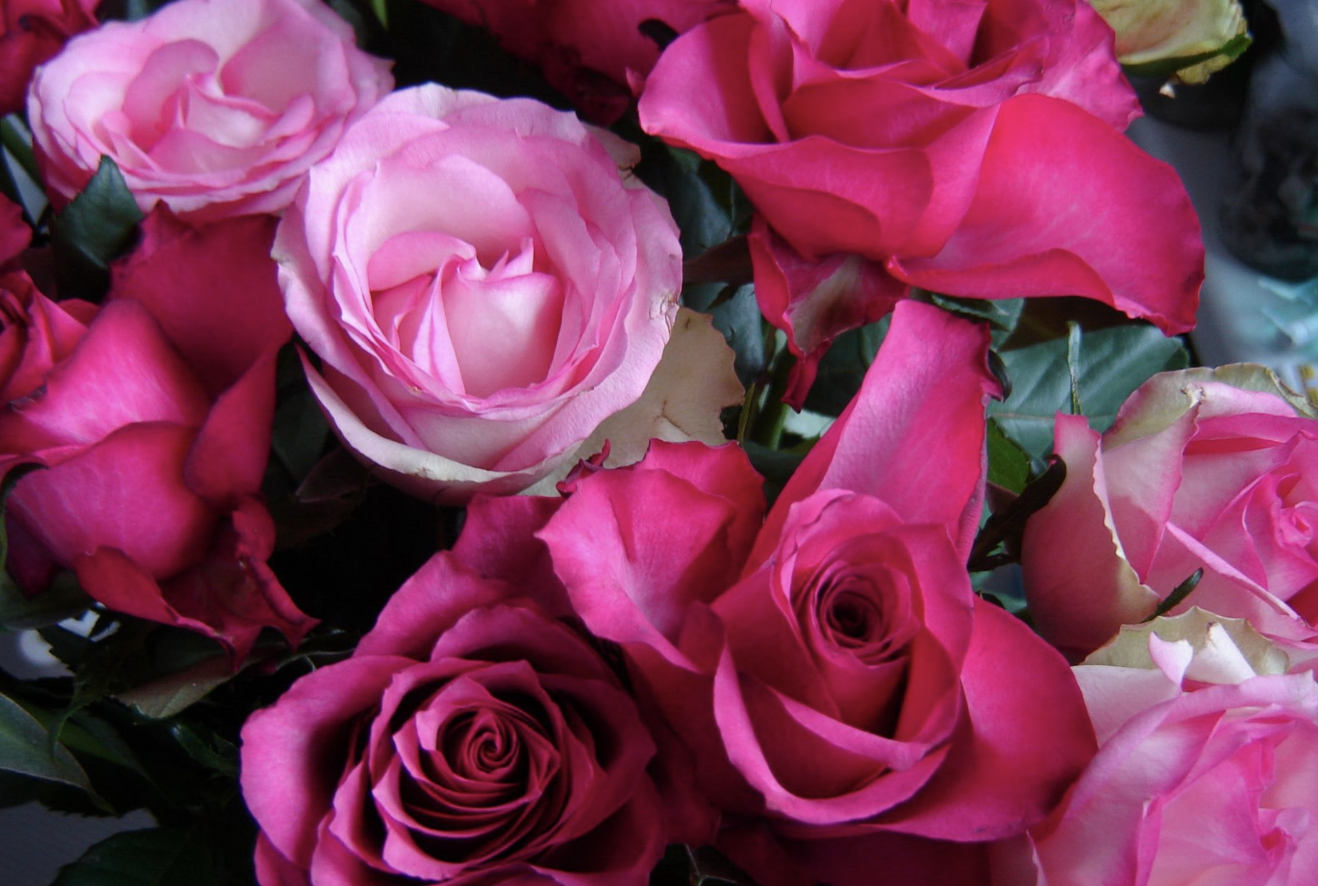 生肖夜梦|9月上旬,打开新局面,不再被束缚,3生肖赢得先机,闯出一番名堂