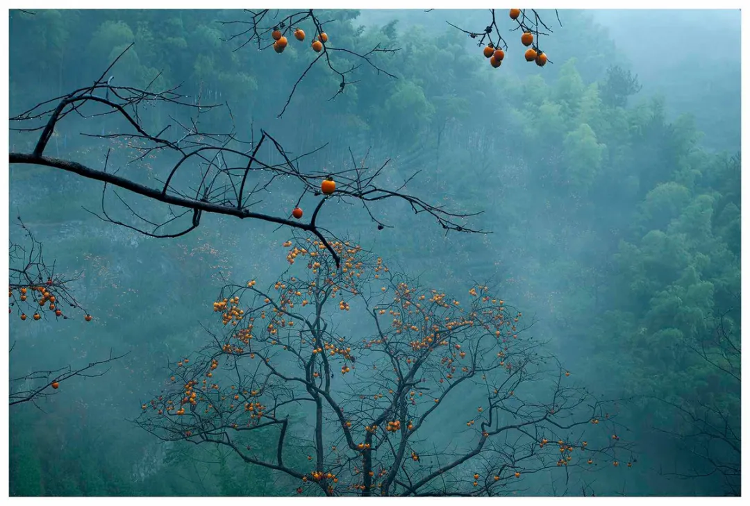 诚然命理 癸水生于酉月病地的搭配