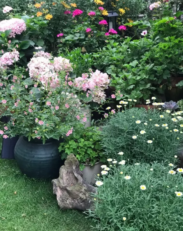 宁波|150㎡私家别墅庭院，打造花开满园的自然舒适小花园，太美了