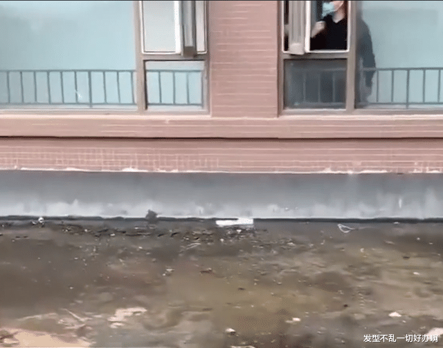 购房置业|约定好130万买房送大露台，住进去却给看不给用，开发商：砸墙吧