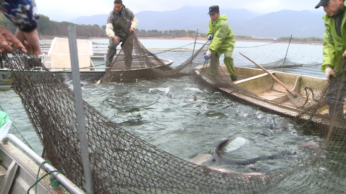嵊州|嵊州钓鱼界都轰动了！这里竟能钓到3亿年前的生物…