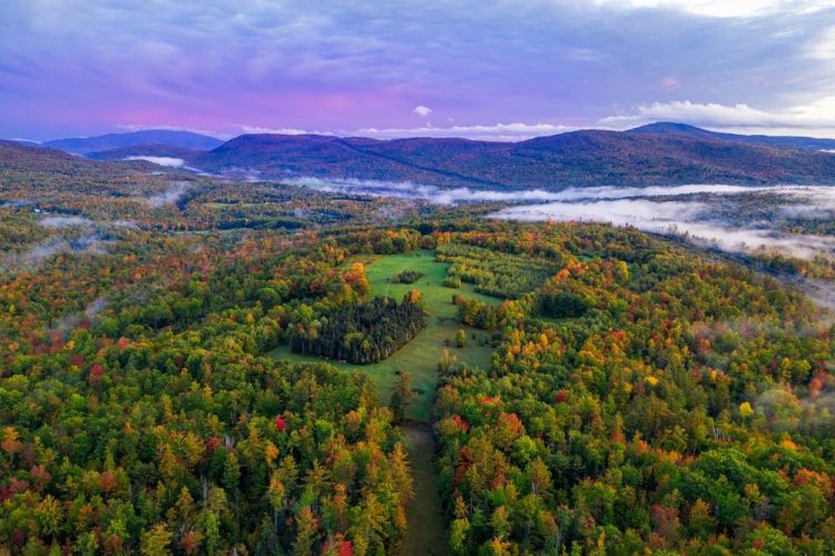 饮食|如果你正喜欢上做这几件事，说明你开始老了