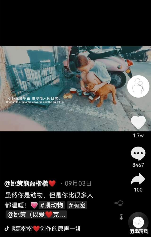 羽扇清风|熊磊哭诉：半夜睡不着，生活以痛吻我，我报之以微笑