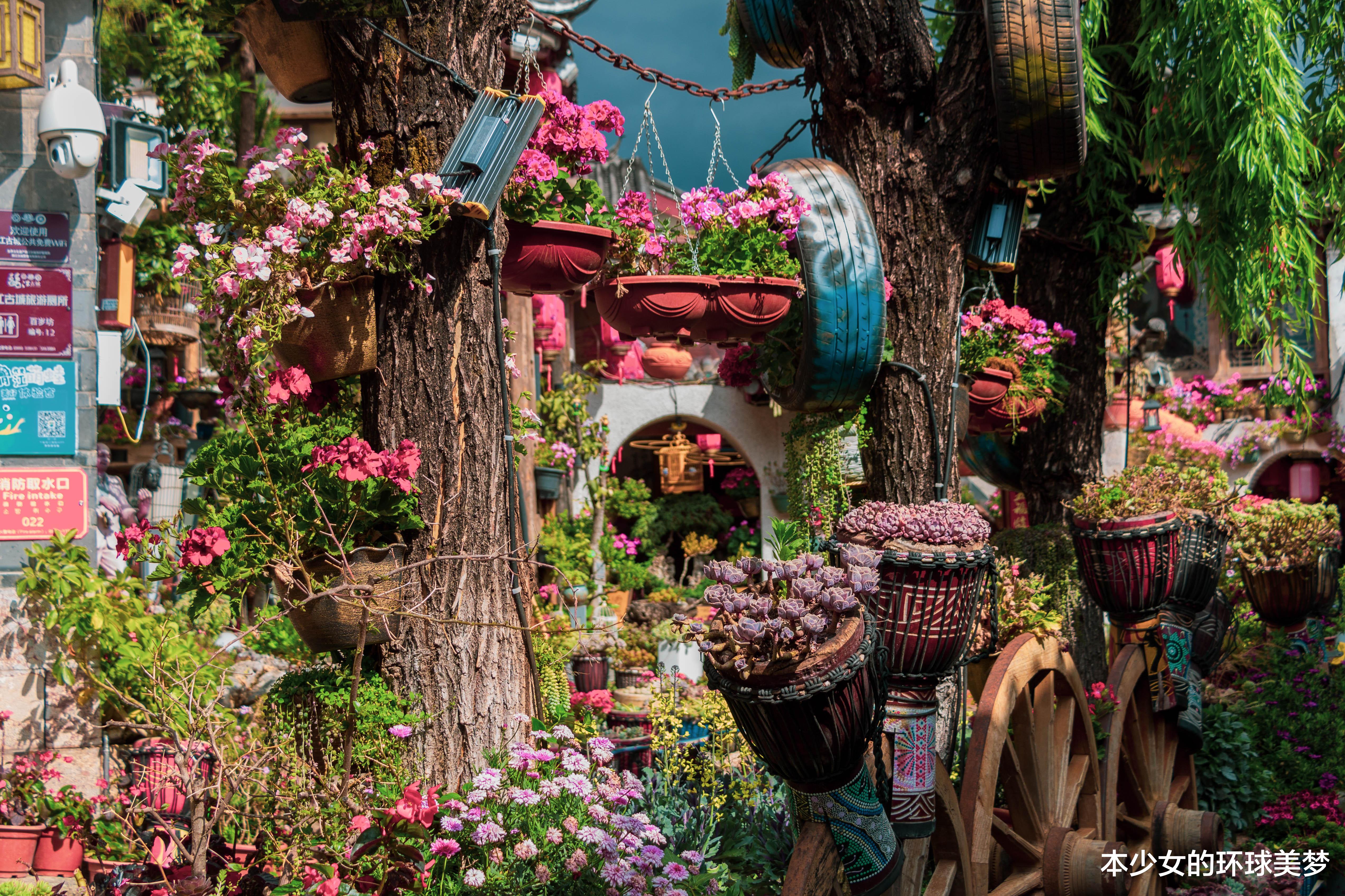 香格里拉 寻找香格里拉，海拔4600米徒步10公里，差点交待在稻城亚丁