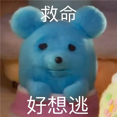 桉月|表情包：你有一点点大