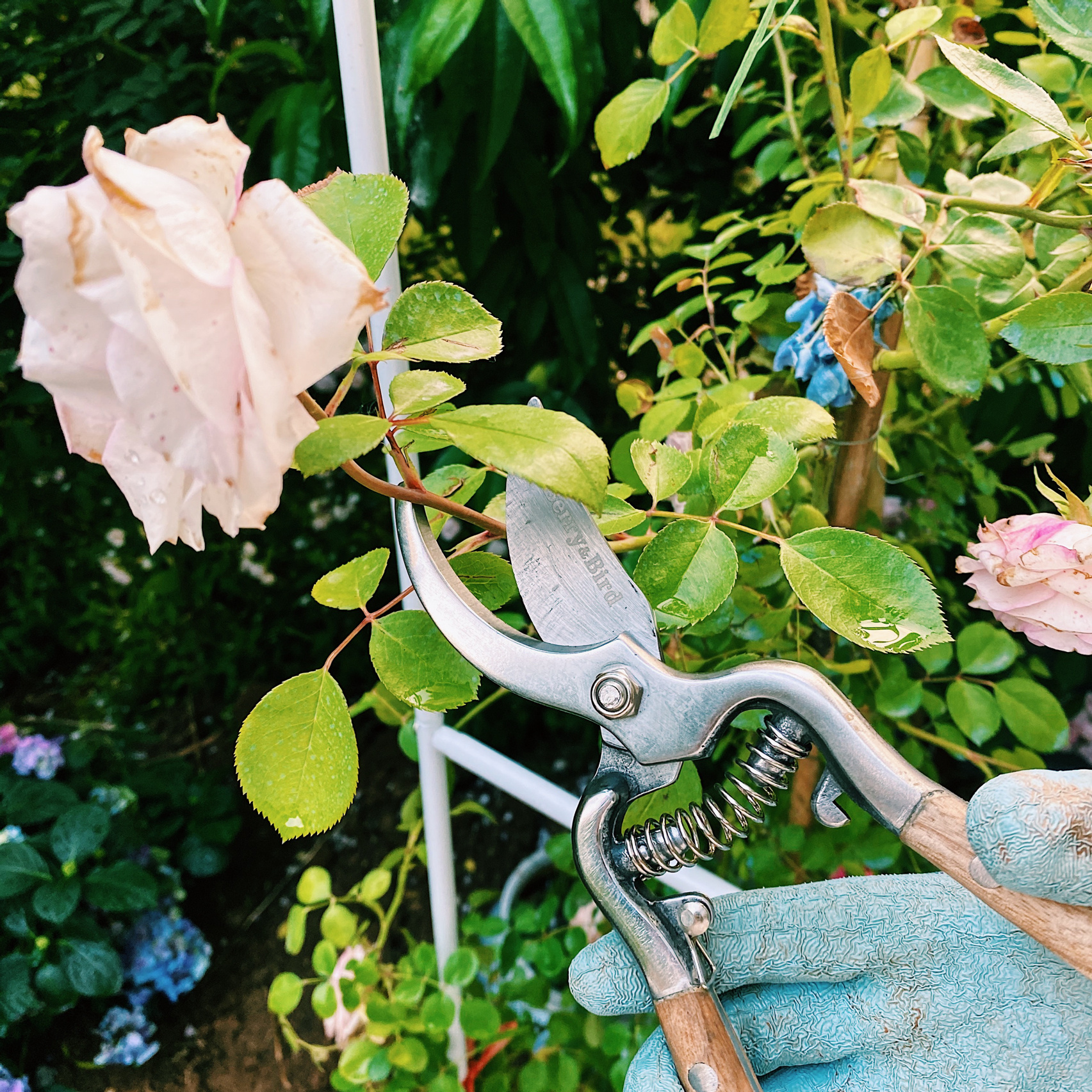 昆明|买房送了个30㎡露台，历时三年，折腾成楼顶花园，真的太美了
