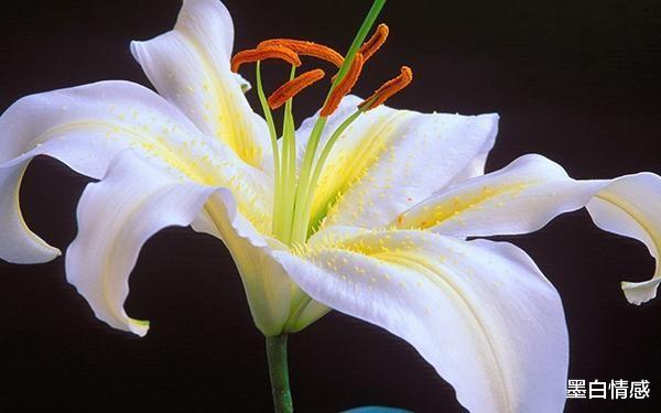 墨白情感|“人微言轻,无人呼应” ,落魄时记得做到这三点,很现实