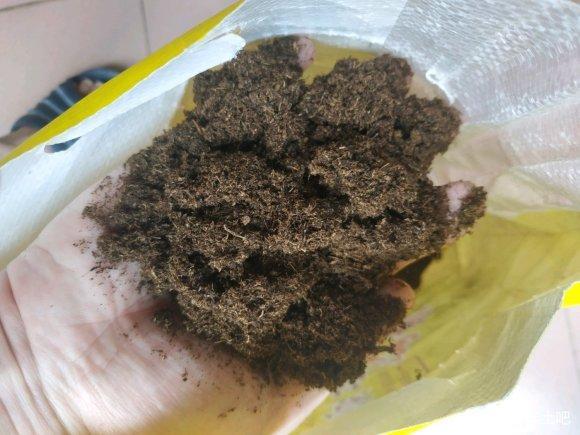 向阳园艺|买花土要认准商家，不要贪图便宜，花土价格低，可能是假的
