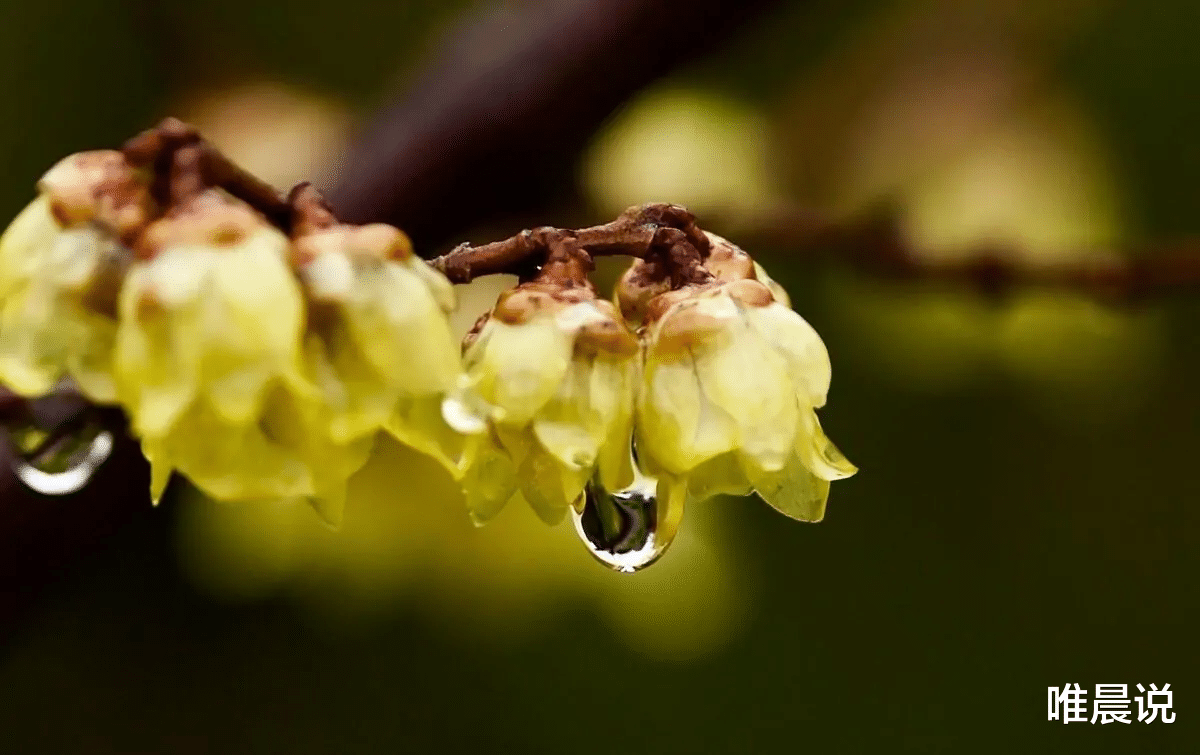 唯晨说|心理学：良好的人际关系存在“技巧”，避免四种说话方式
