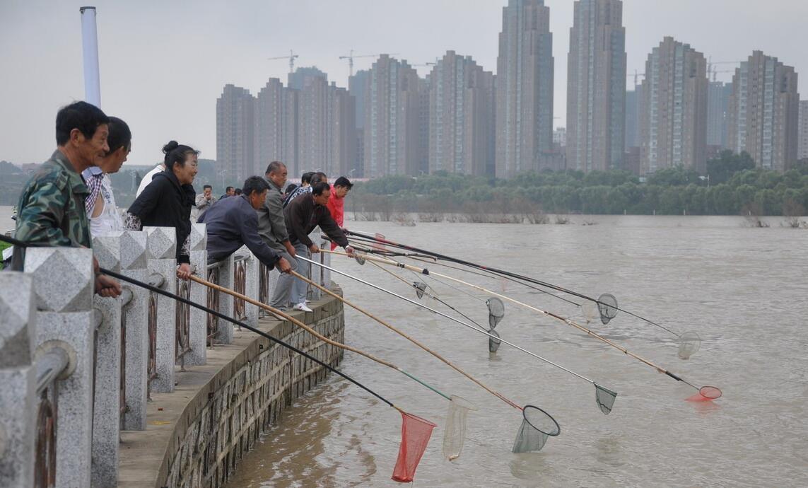 巴西龟|刚甩两杆就遇到了放生佬，我国咬牙对付34年，为何还在放生巴西龟