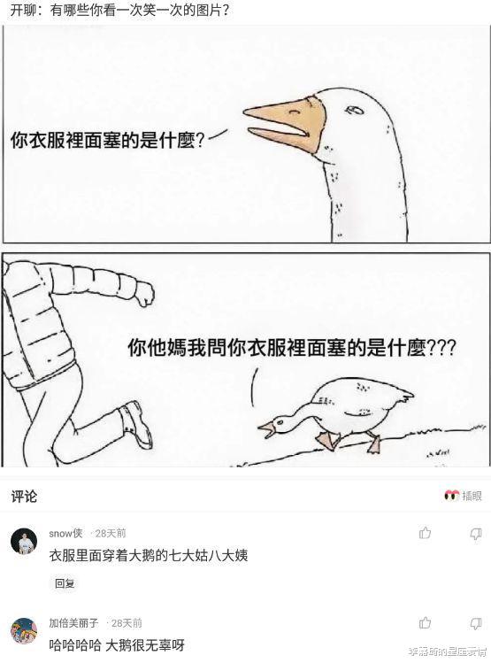 李嘉琦的星座爱情|“买家秀和买家秀的天差地别!”哇哈哈哈哈,还是放弃吧!