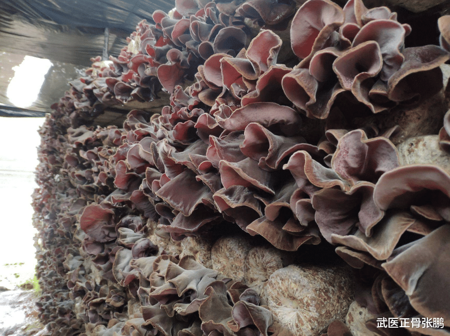 |甲状腺癌的“真凶”终于找到了，不是抽烟喝酒，它才是“罪魁祸首”！