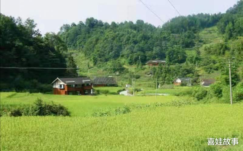 喜娃故事|非婚生女争夺抚养权，可孩子奶奶不放手