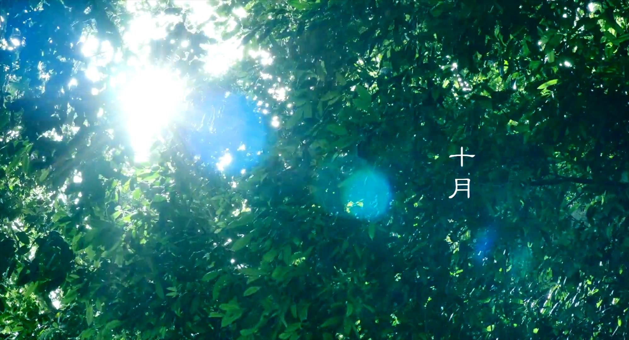 灵媒|号称2021亚洲4大恐怖片之一的《南巫》，其实比《灵媒》更拉跨？