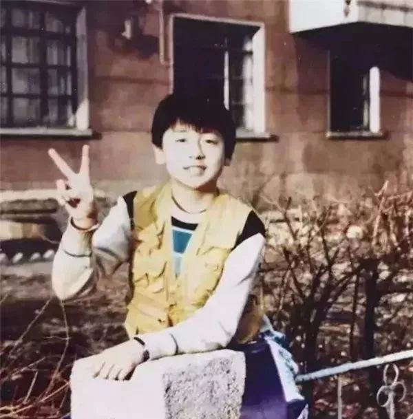 谢娜|《回家的诱惑》已播出10年，男三号片约不断，男1男2却不温不火