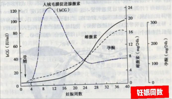 卓卓and然然|孕妇该选什么牌子护肤品？只要选对成分和方法，孕期养出水光肌！