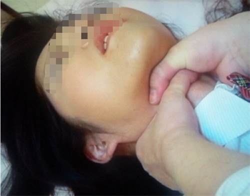湖南男子与女友分手后,心生不满上门掐死其19岁女儿,还奸污尸体