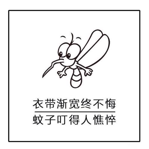 蚊子 夏天印象生物——蚊子为什么冒着生命危险也要吸你一口血