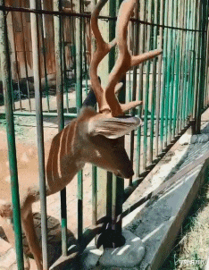 学姐说育儿|“你以前做过最羞耻的事情是什么?”女朋友的回答太tm积极了!