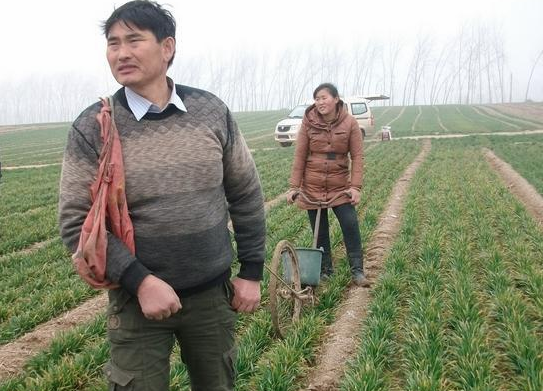 朱之文|大衣哥流量惨淡，而且还没有一个懂事的孩子