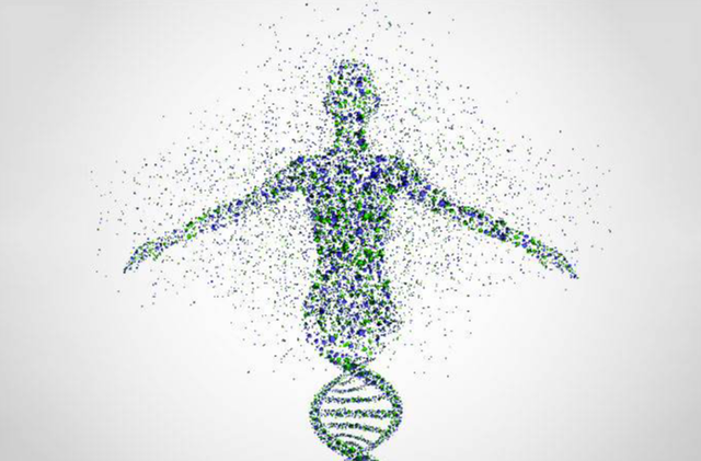 染色体 理论上人类寿命能到1000岁，被什么限制了？学者：和细胞有关系