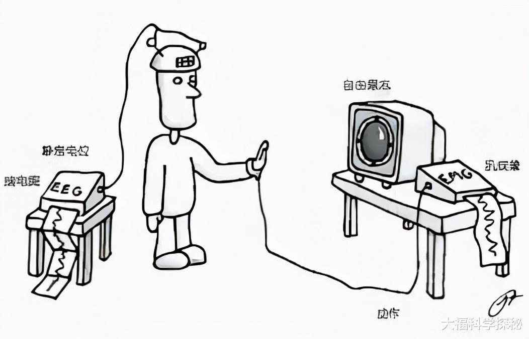 脑电波 命运是被操控的吗？三个实验证明，你所做的也许并非自愿