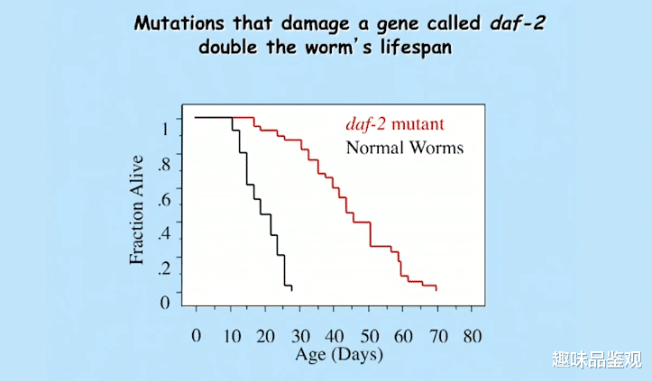 生物学家 人类实现延缓衰老指日可待？生物学家发现控制人类生长激素的因子