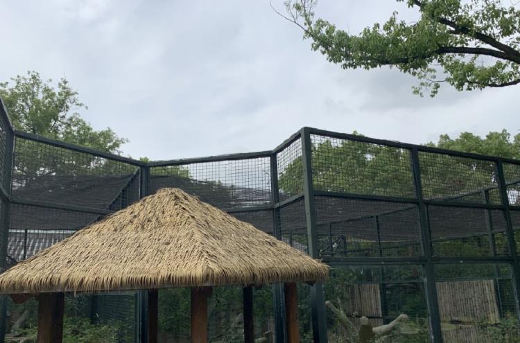 火星 高温天，动物消暑度夏有“凉方”