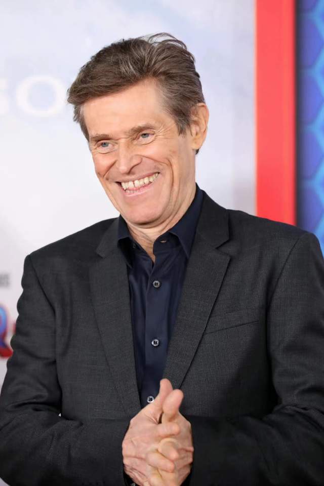 汤姆·赫兰德|《蜘蛛侠》首映式精彩！赞达亚蜘蛛裙绝美，荷兰弟防剧透咬紧牙关