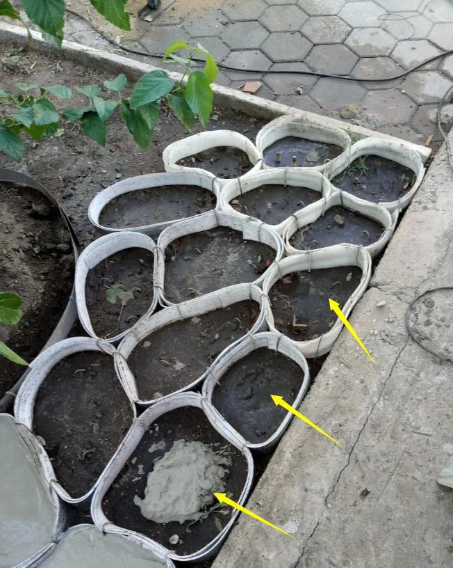 |用纸板将水泥框起来现浇，人造石铺院子地面，比纯打水泥性价比高