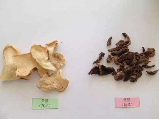 尿酸|黄精的养生配方推荐及性状鉴定