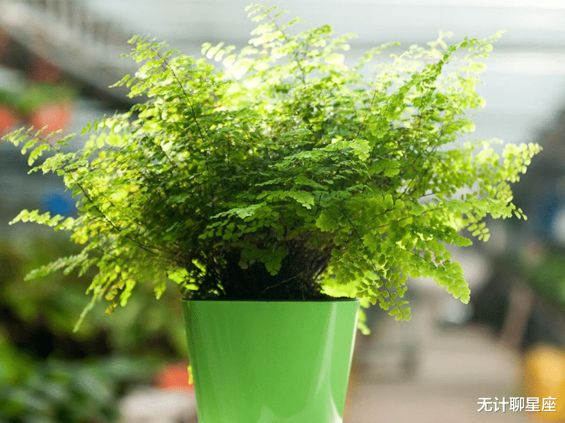 |恪尽职守、不可或缺的4个星座,无可挑剔、人生赢家,令人羡慕