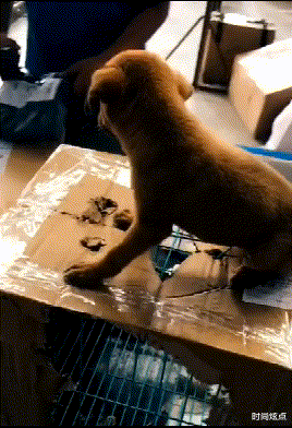 时尚炫点 “为什么大学女生看起来要比男生有钱的多？”