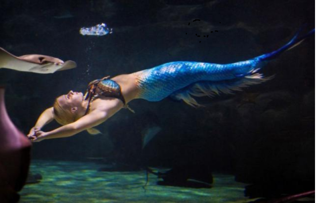 古巴 美人鱼真的存在吗？古巴发现了“小人鱼”还能和人类交流