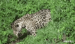 姐姐|马总化腾的女儿，以后谁娶了她就不用愁了！网友神评笑死我